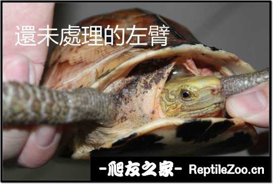 235156wt2ye0lt228yy8ei.jpg