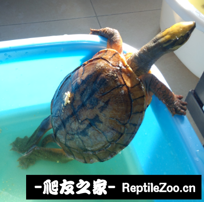 235210yc3i9rw93rkwytt9.png