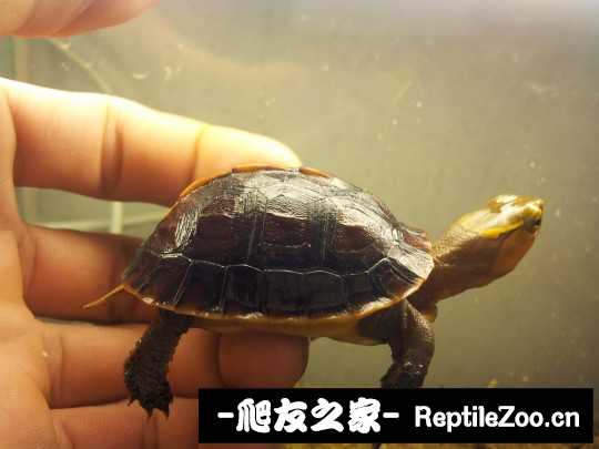 235218cjlqkzha5te5qh5j.jpg