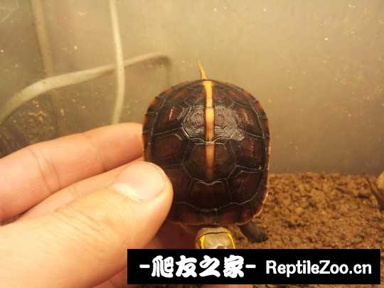 235219e1t7kgkrkwjuxwhz.jpg