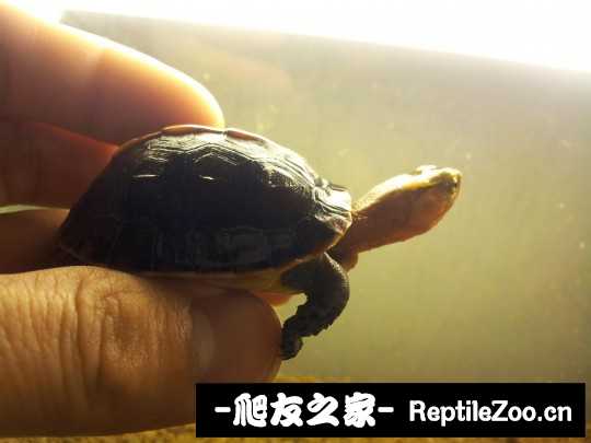 235219sghuyeydadealghu.jpg