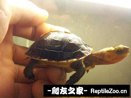 235219xltkrvkkhvi3f00v.jpg