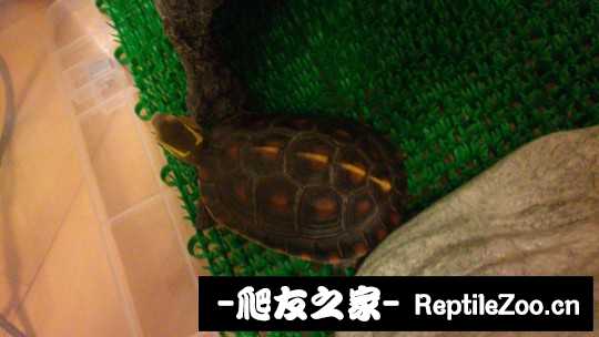 235240g5uisuz5bmeh5g8m.jpg