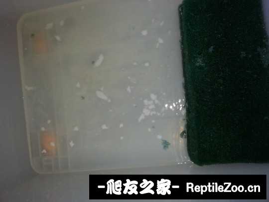 235350vk40wow58hx5ke4b.jpg