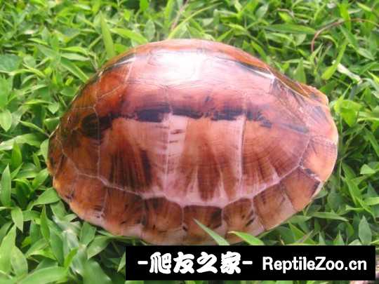 235406b0nymywgmoepbg01.jpg