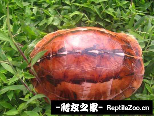 235406ekhwz1w1ws8sx4hn.jpg