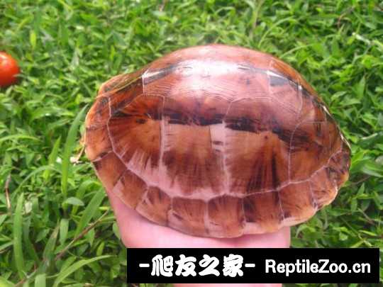 235406jnqkcpdwgudkddvj.jpg
