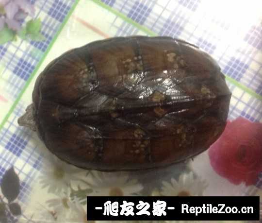 235517yx69xxf4cd39gf5g.jpg