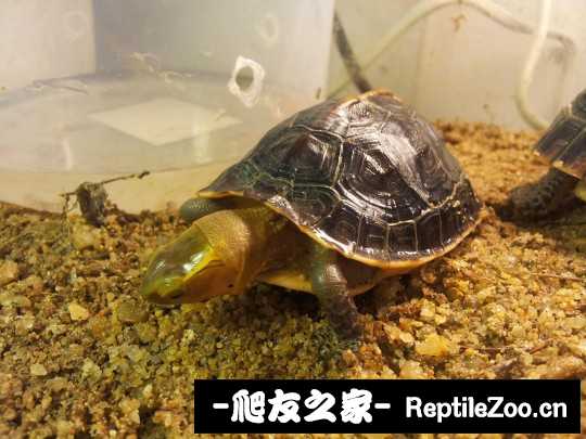 235729t7iqkeei780prrx0.jpg
