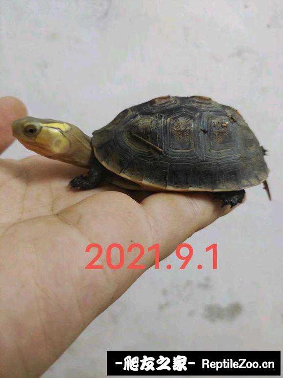 000220aerv8lne8jpn1rvt.jpg