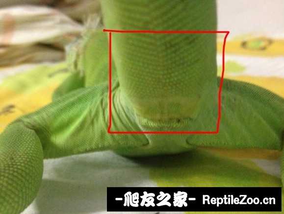 000821tgejgegsoo6ee6ow.jpg