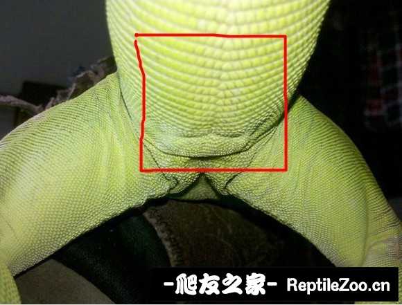 000822xxqggzgi8uh278n2.jpg
