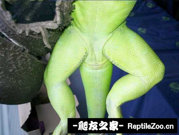000824srhmm5bimbvyimbi.jpg