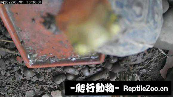 001443rzn4bv3664ep9ppf.jpg
