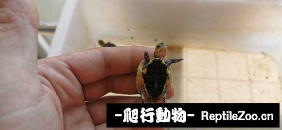 001956xpn9dszkvwnah1p9.jpg
