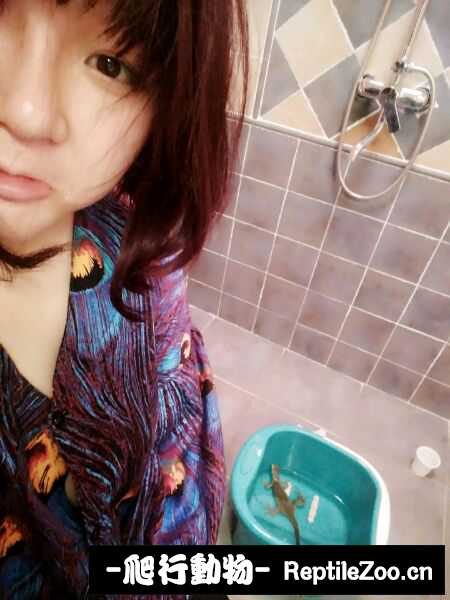 002115w1ddzx8gc8ds7ppl.jpg