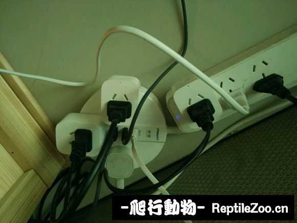 002116i7ekozlkg5o5o59i.jpg