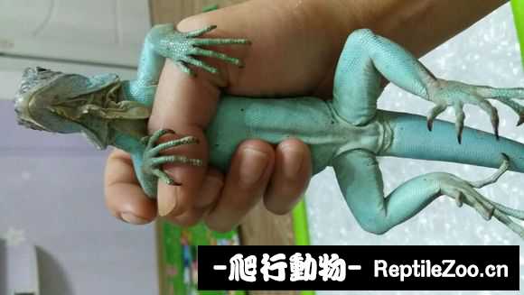 002240w0hg0z09a3x9j3lm.jpg