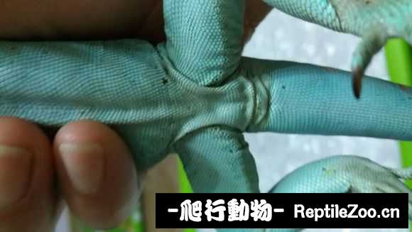002241qqoypqjoogr6efe1.jpg
