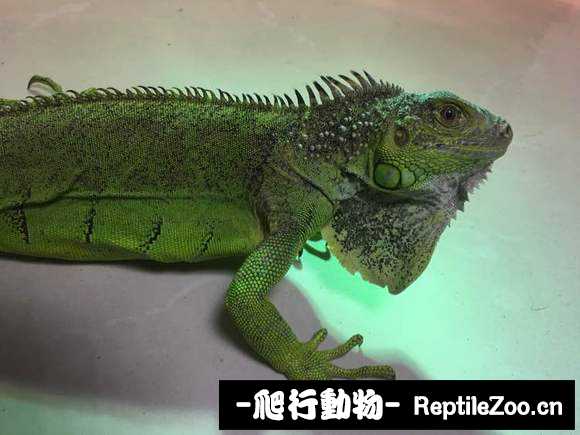 002321mu3q77etk7qqh3k5.jpg