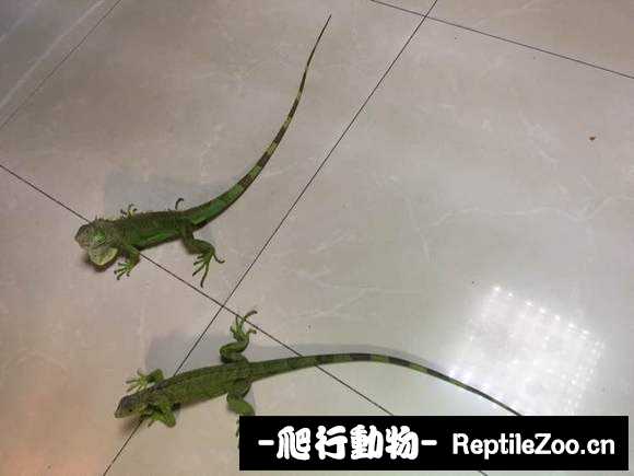 002321vumu425lm5a48w22.jpg