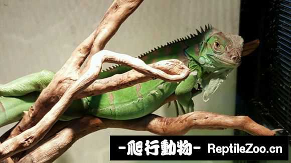 002333xyi1mxiu7m1vixxy.jpg