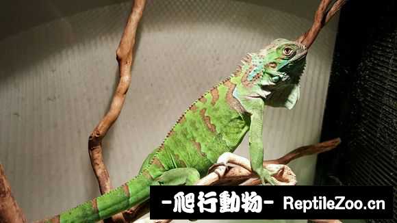 002334qzu9lbp02nk8pkpu.jpg
