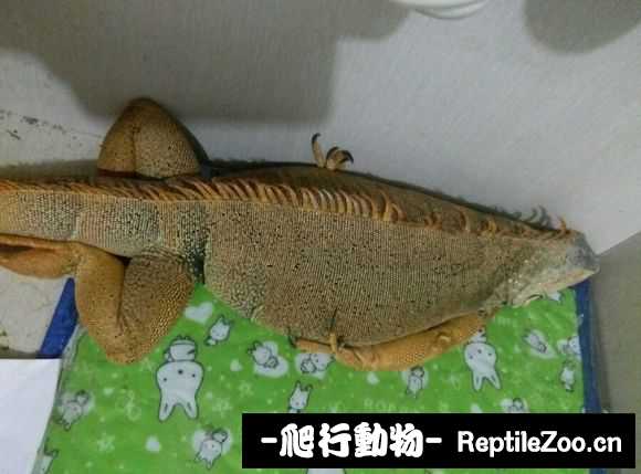 002340vy1rmja0r23r0jg8.jpg