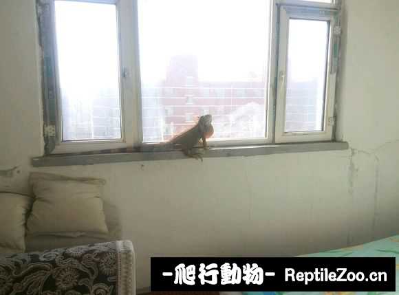 002341fsld5sn6tsismx5l.jpg