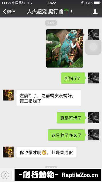 002355hxc8ffcgmdvddxmm.jpg