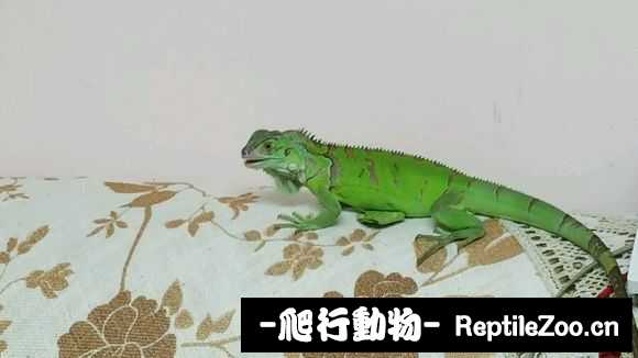 002403m05xbyxxv9e5xeqb.jpg