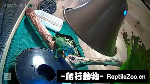 002409z5durd6774p5pcr8.jpg