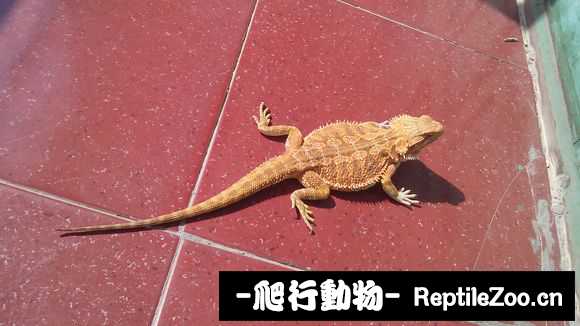 002508fpt90odo1p53loo7.jpg