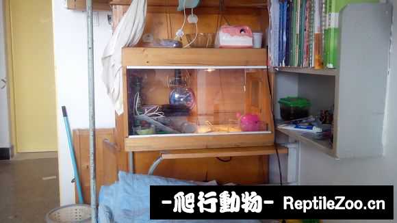 002510ysiowu8u6oh8w98k.jpg