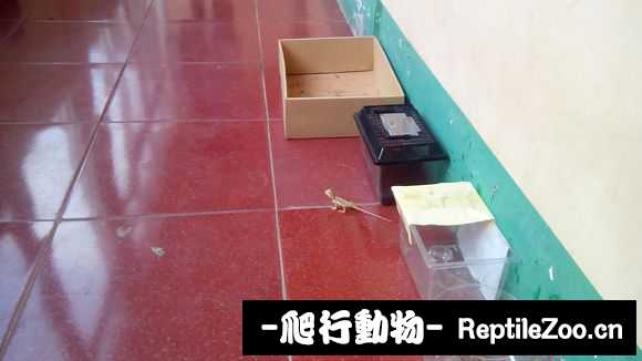 002511w22u5qk1dp2uku4a.jpg