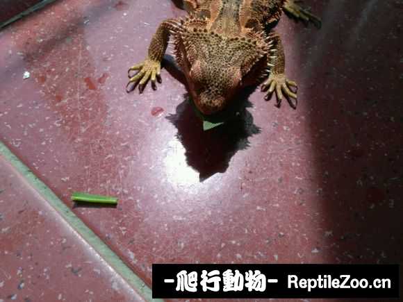 002514lrtrertb98lxzz5x.jpg
