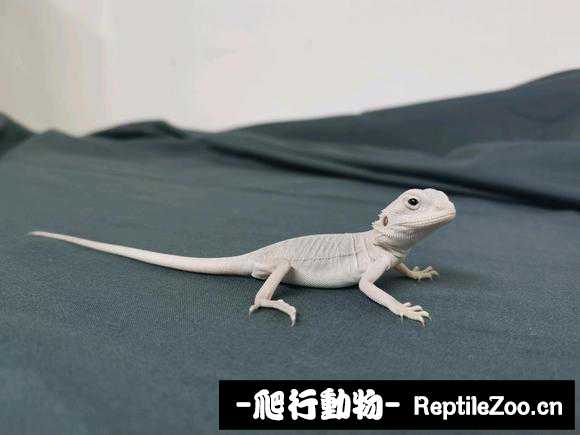 004507wehexe5t53bxerxx.jpg
