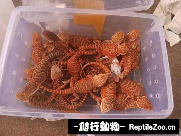 005110u8kirmwju0z6b4nb.jpg