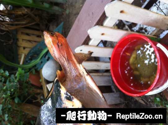 005115yzecshhikjkvseh3.jpg