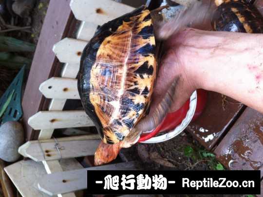 005116ao4x0so11sm04b9b.jpg