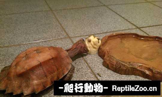 005524fbufxb6uu6uoh66h.jpg