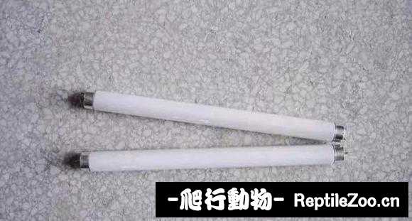 010326rd7rrrv4rh70f0z4.jpg