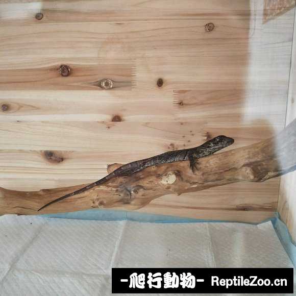 011507v5wfbytba7379b3t.jpg
