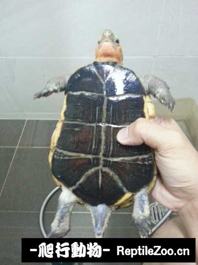 015524xe2uh33j0j3e0cpd.jpg