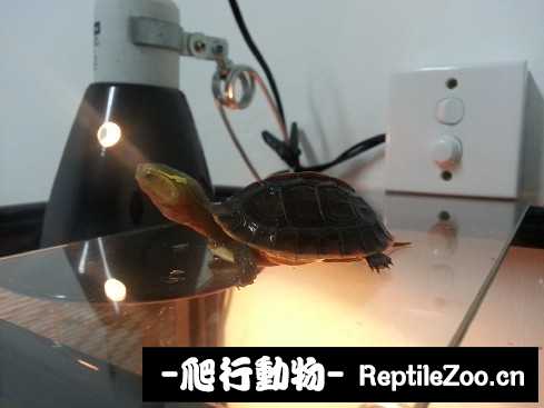 024521i2mbon9r1be29nbn.jpg