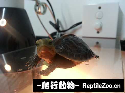 024522igwbqhadj2sqdq8s.jpg