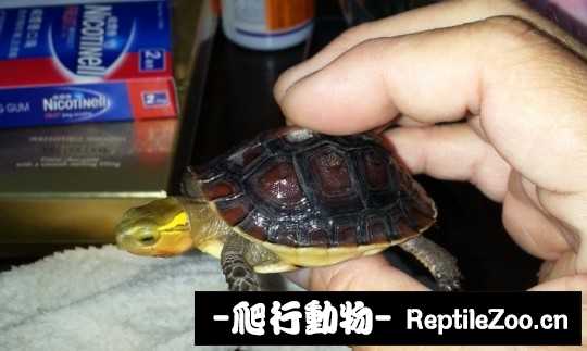 024523e8sdahhhd46h7dbg.jpg