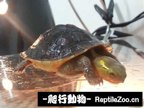 024523pdfshhlpoojpoogh.jpg