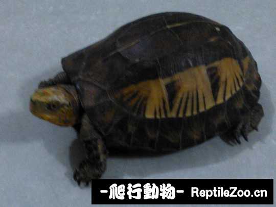 030611eamx33g1h6m1q19u.jpg