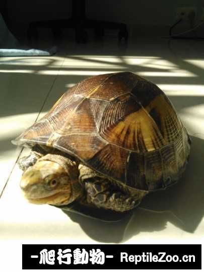 030612hy81c71izh49xib1.jpg